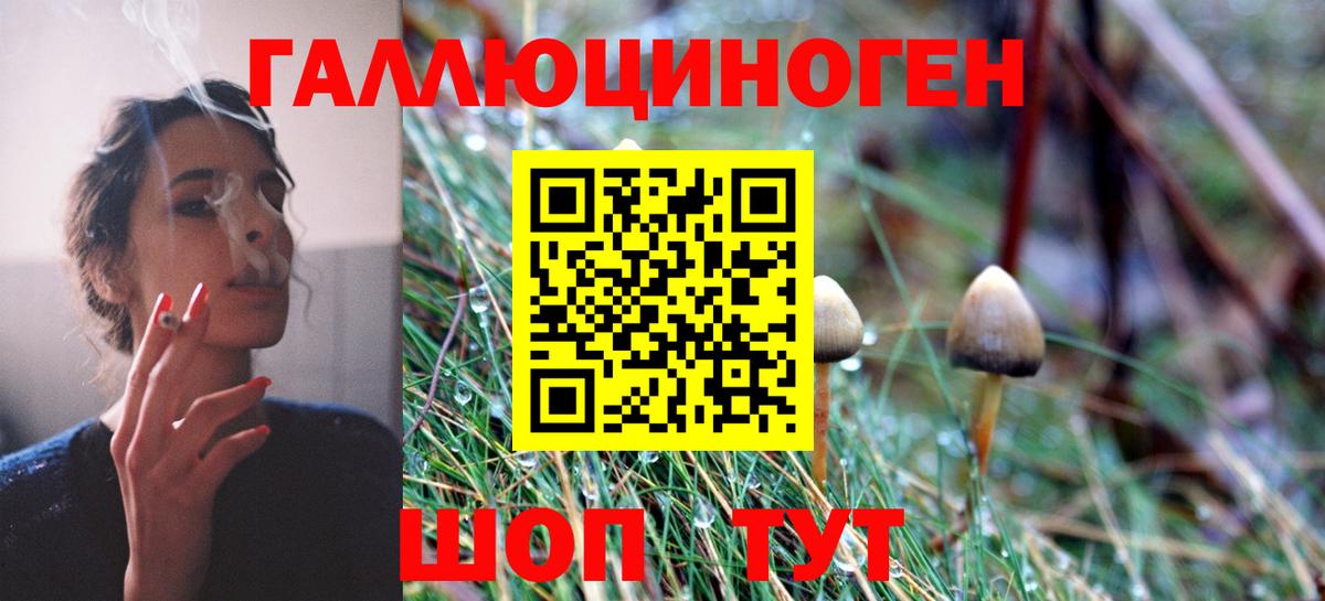 Псилоцибиновые грибы MAGIC MUSHROOMS  Вход с VPN  Костомукша  Галлюциногенные грибы GOLDEN TEACHER 
